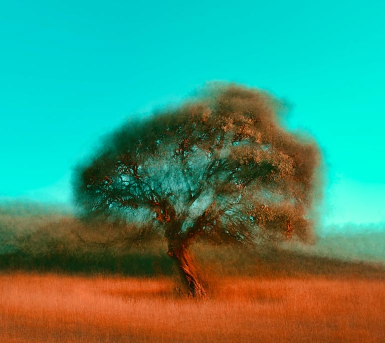 The Jungian View. tree